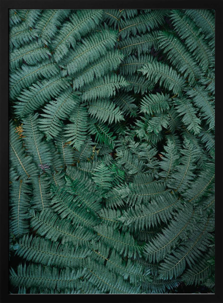 Groene bladeren | Poster