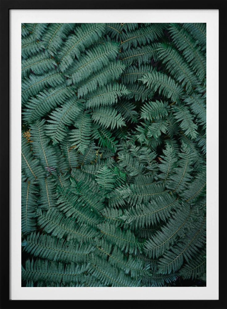 Groene bladeren | Poster
