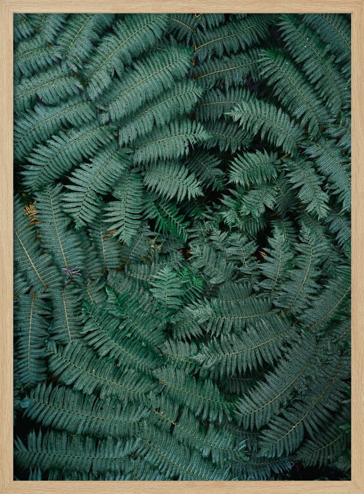 Groene bladeren | Poster