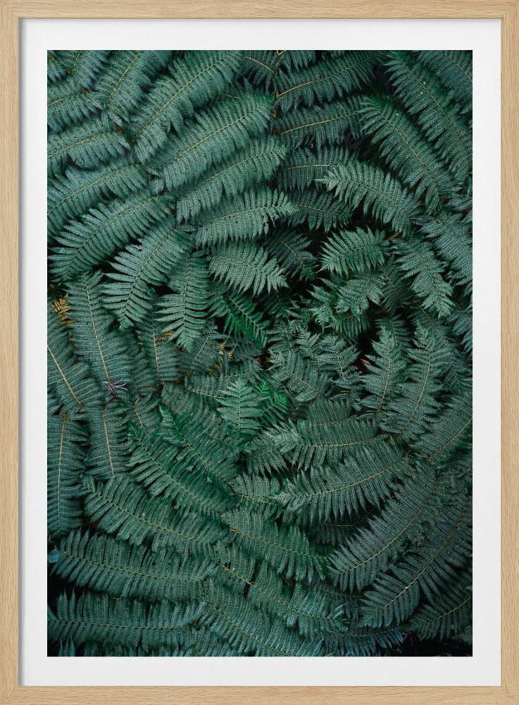 Groene bladeren | Poster