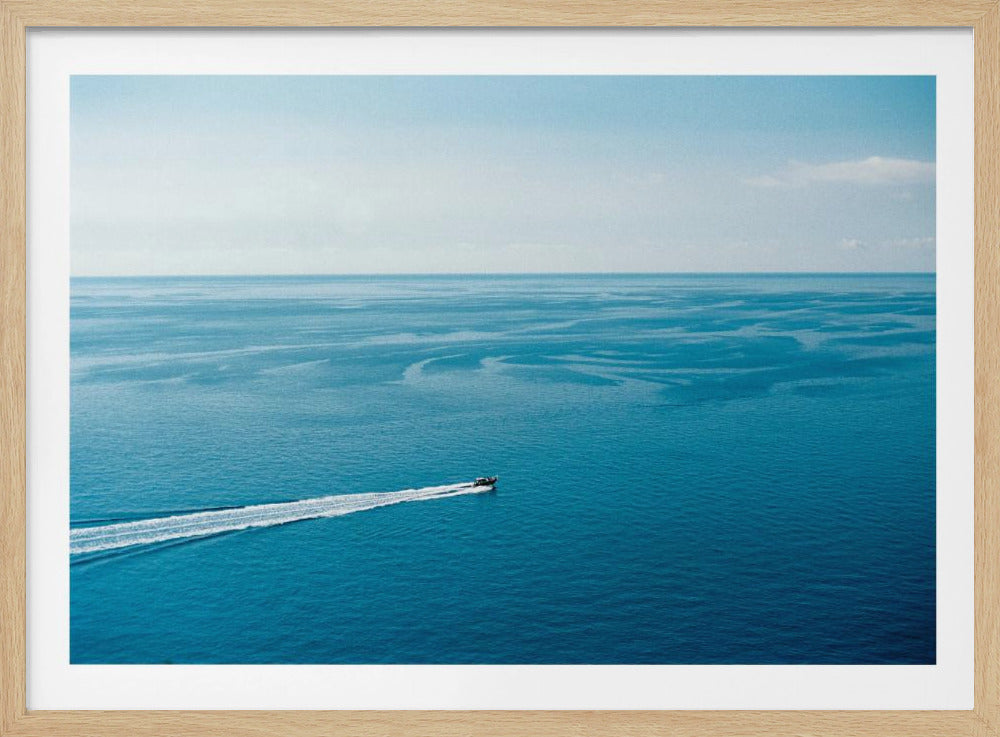De Grote Blauwe | Poster