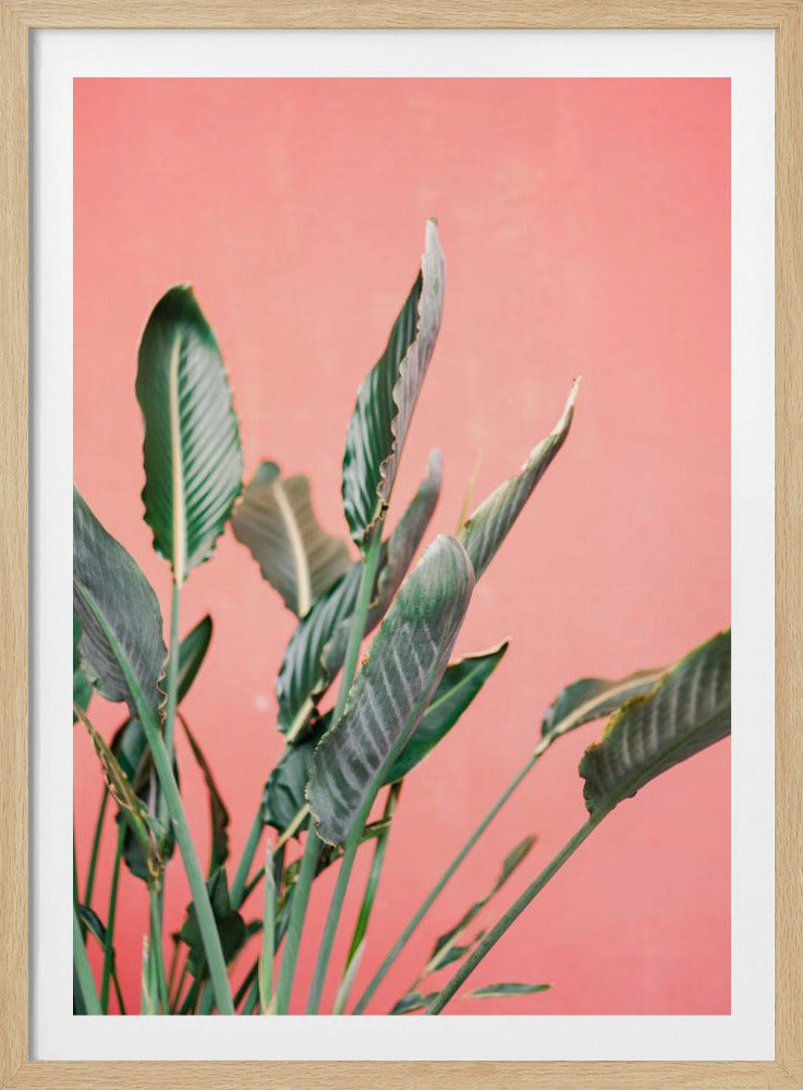 Zuid-Spanje 7 | Poster