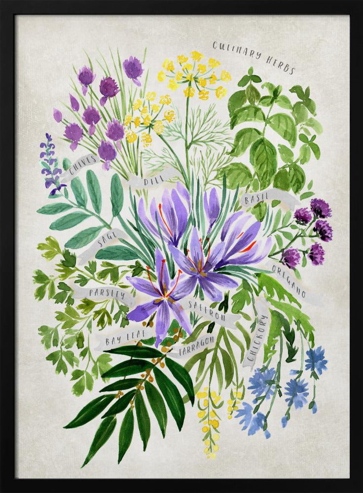 Culinary herbs in vintage gray | Poster