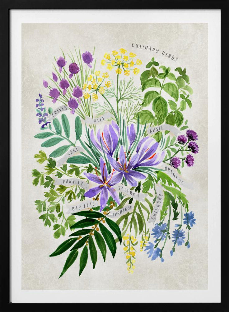 Culinary herbs in vintage gray | Poster