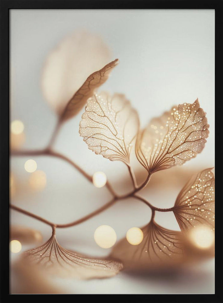Fragile Elegance | Poster