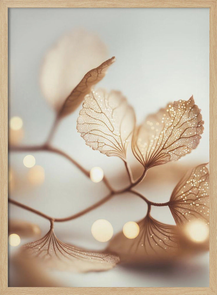 Fragile Elegance | Poster