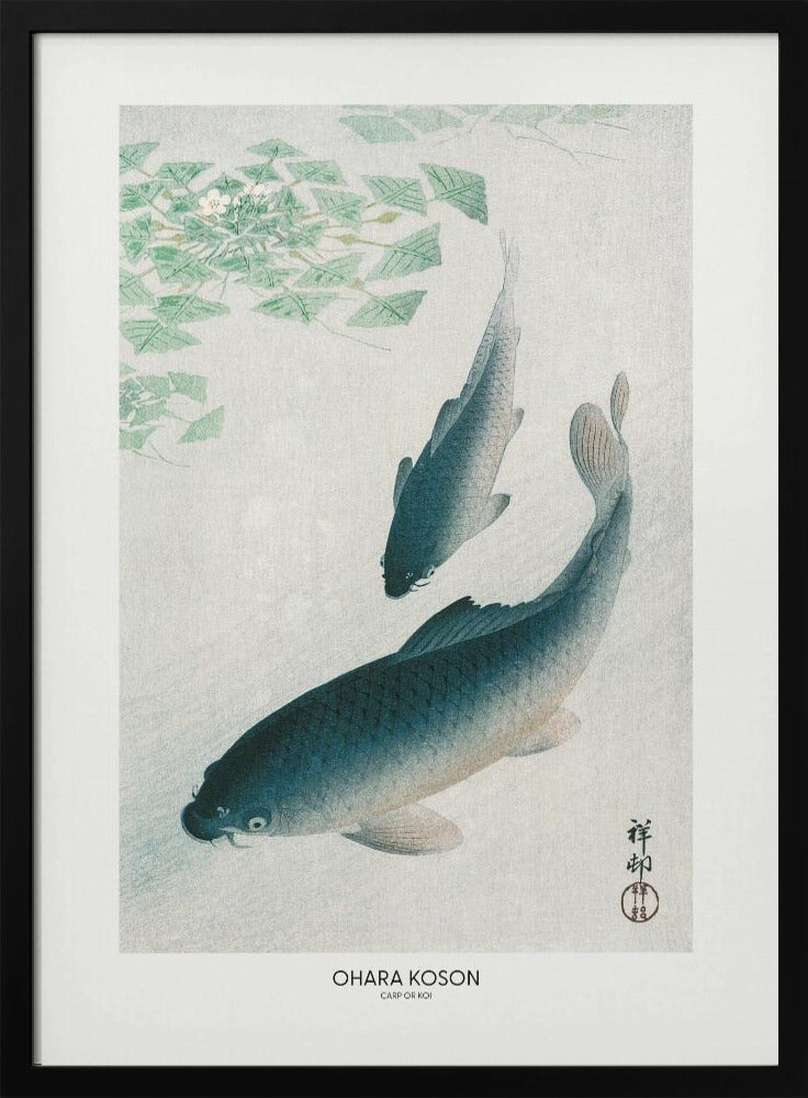 Karper of Koi | Poster
