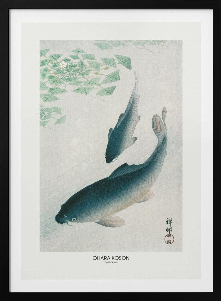 Karper of Koi | Poster