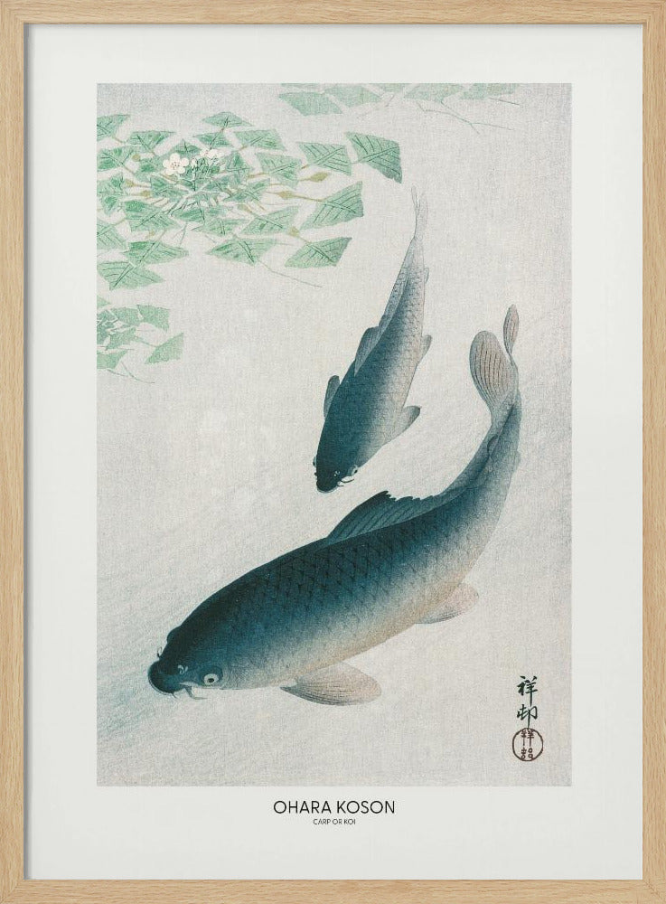 Karper of Koi | Poster