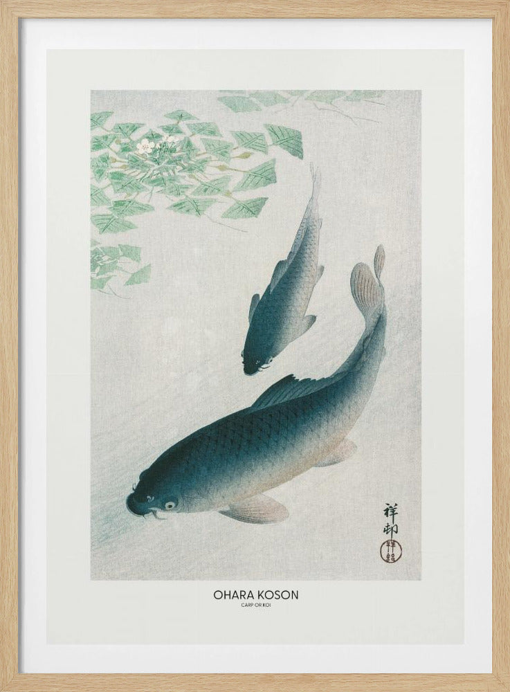 Karper of Koi | Poster