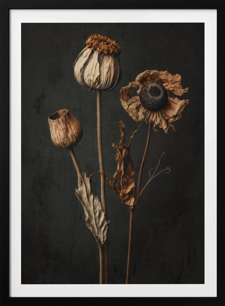 Verwelkte elegantie | Poster