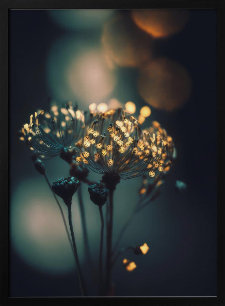 Betoverde Bloesems | Poster