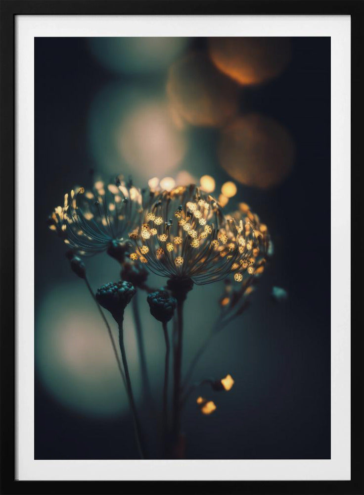 Betoverde Bloesems | Poster