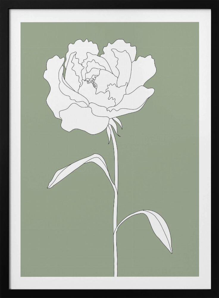 Roos in het groen | Poster