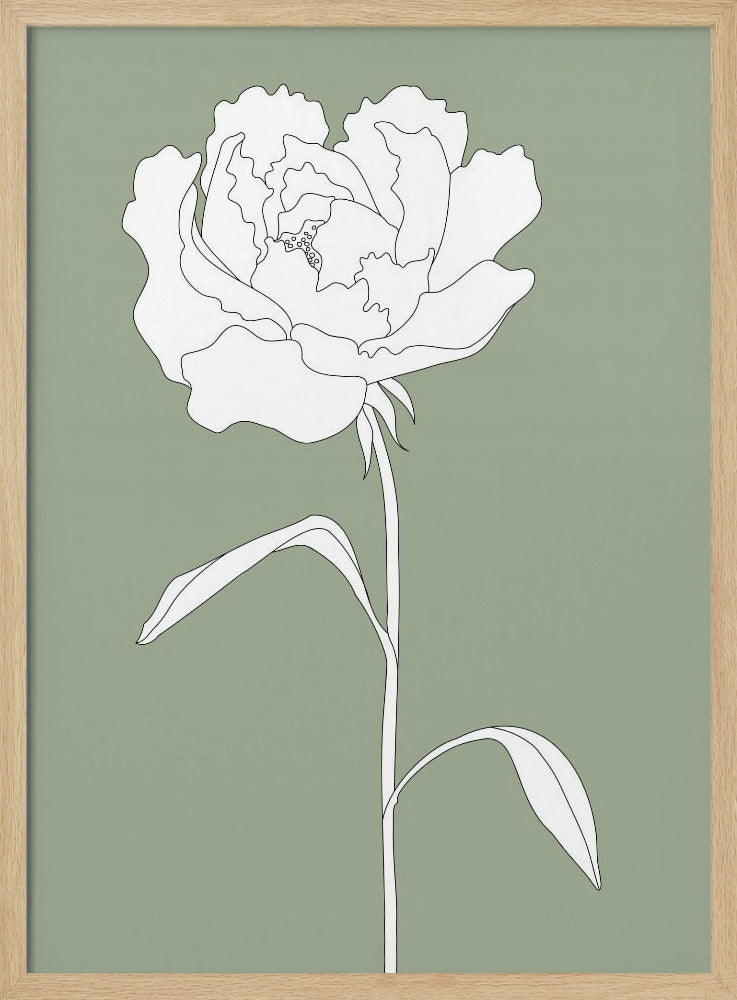 Roos in het groen | Poster