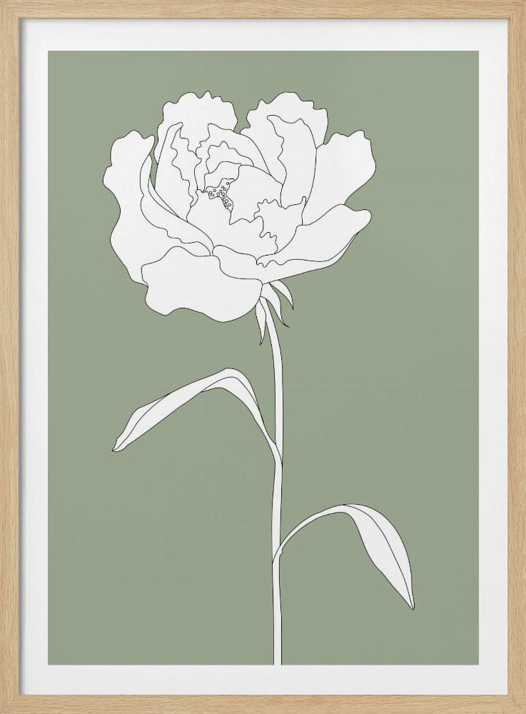 Roos in het groen | Poster