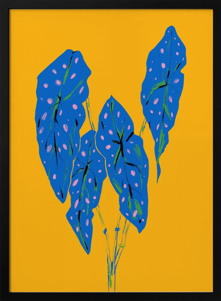 Begonia Maculata Blauw en Geel | Poster