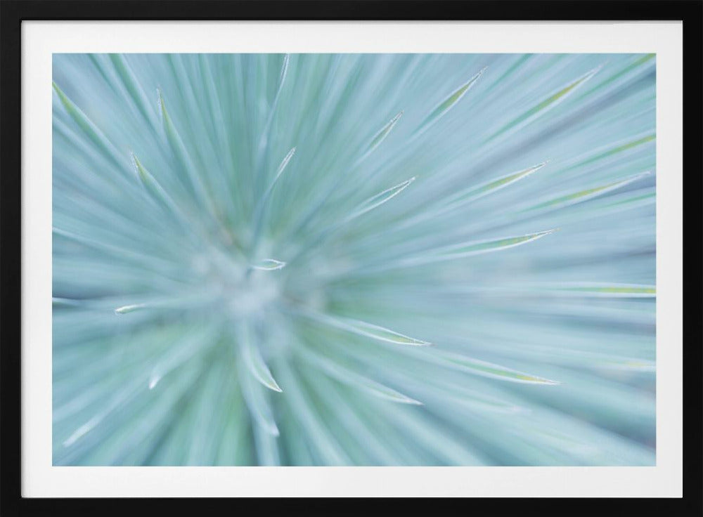 Zachte Spikes | Poster
