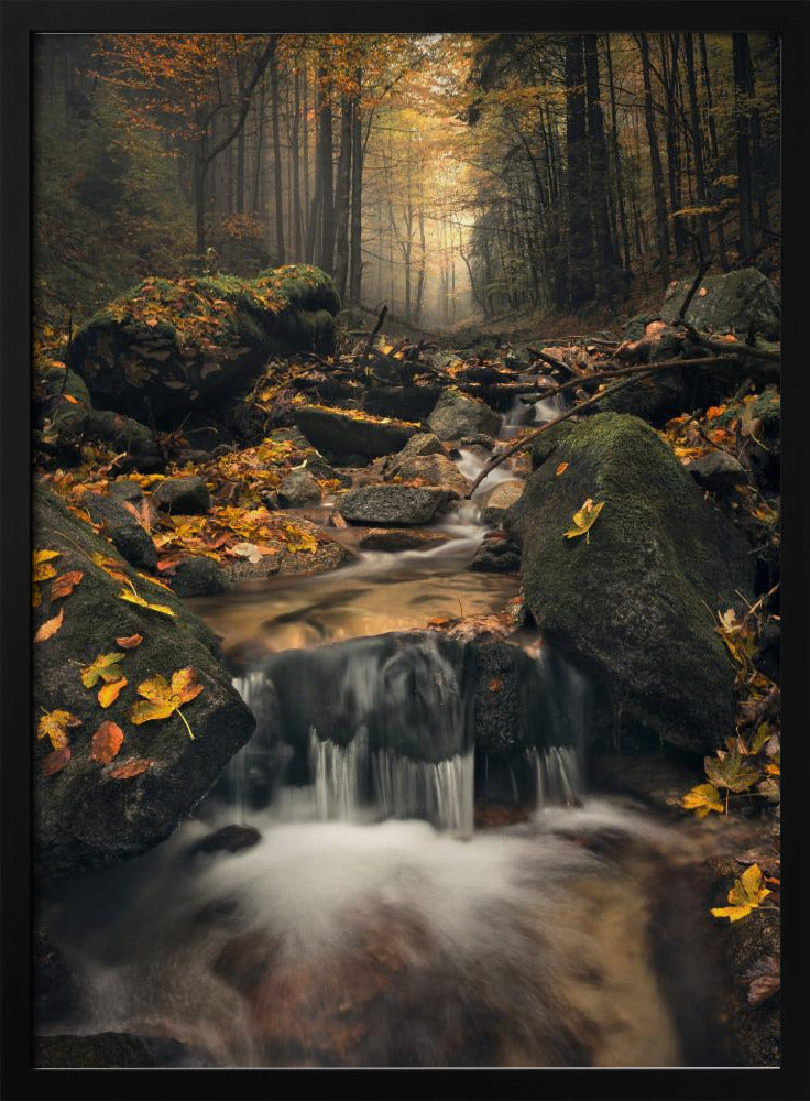 Dromerige herfst | Poster