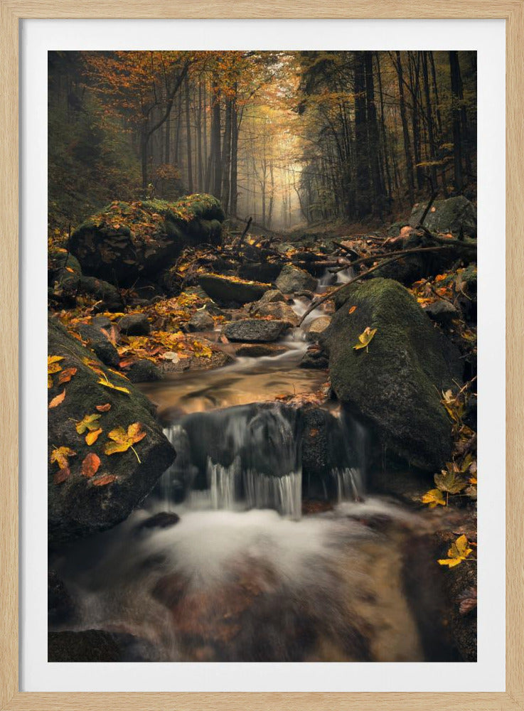 Dromerige herfst | Poster