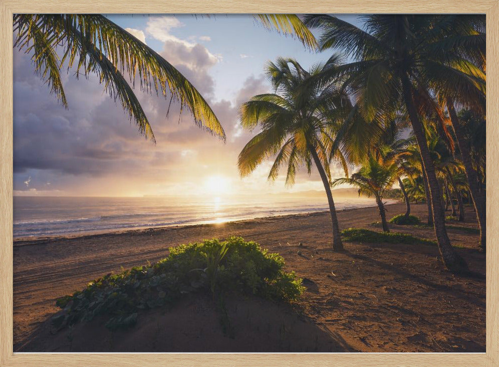 Goedemorgen Paradijs | Poster