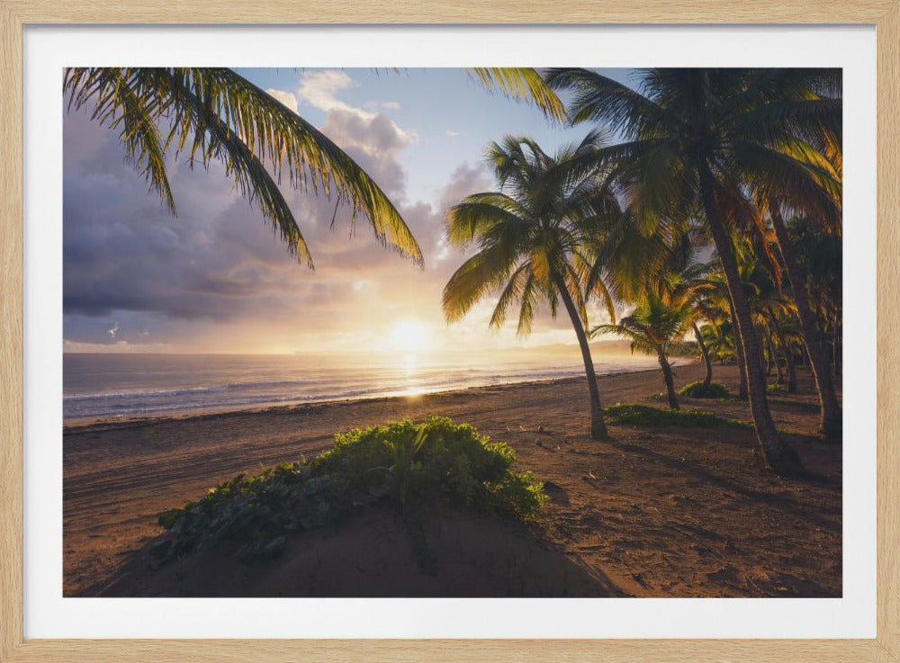 Goedemorgen Paradijs | Poster