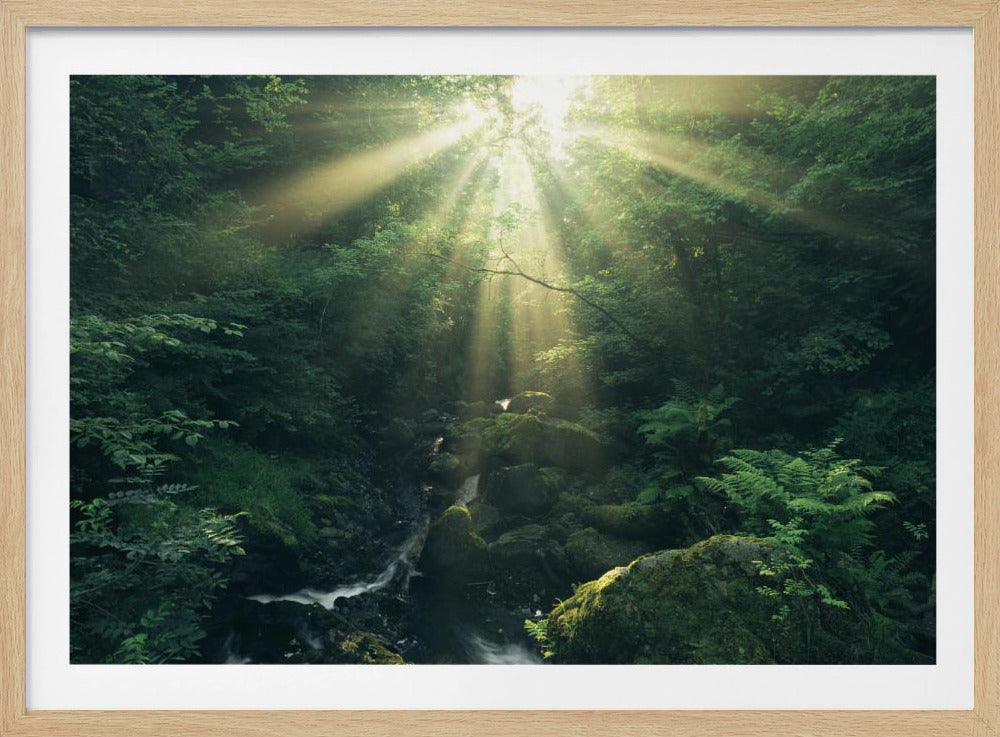 Groene Stralen | Poster