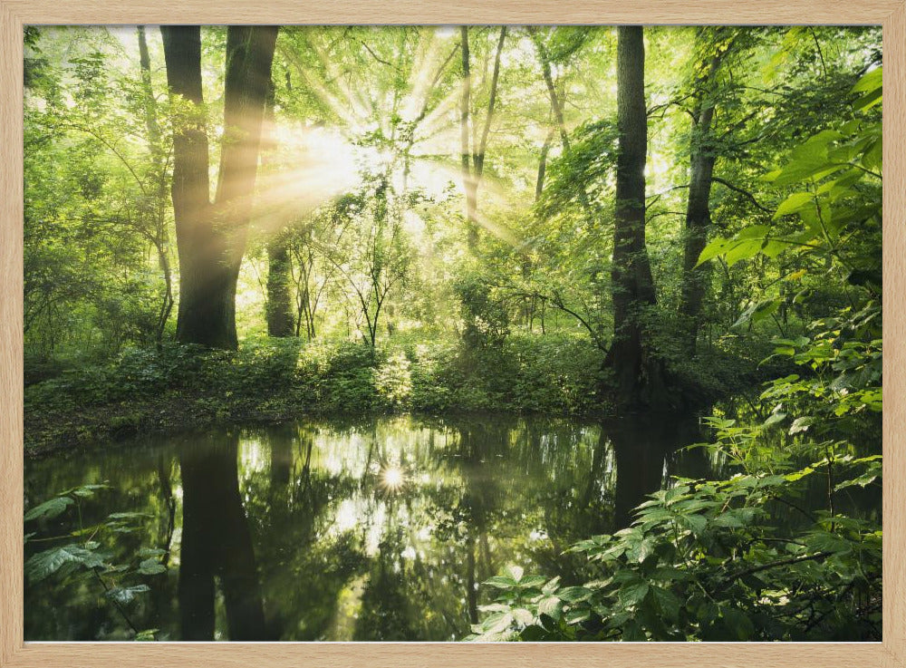 Groen Park | Poster