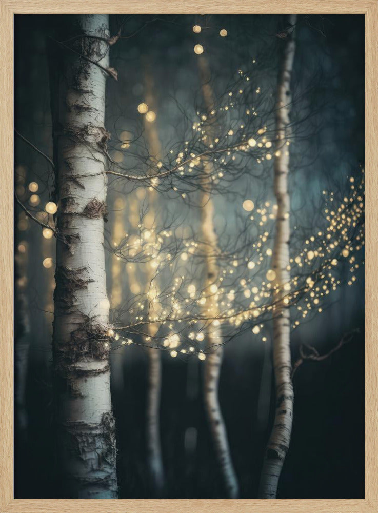Schitterend berkenbos | Poster
