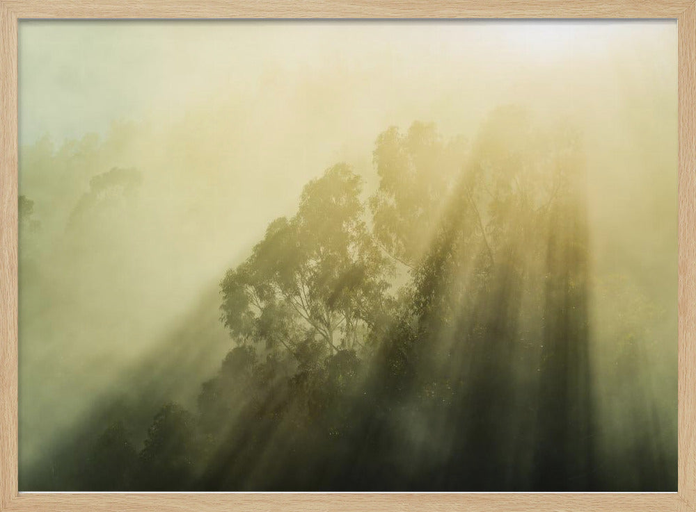 Mistige bossen III | Poster