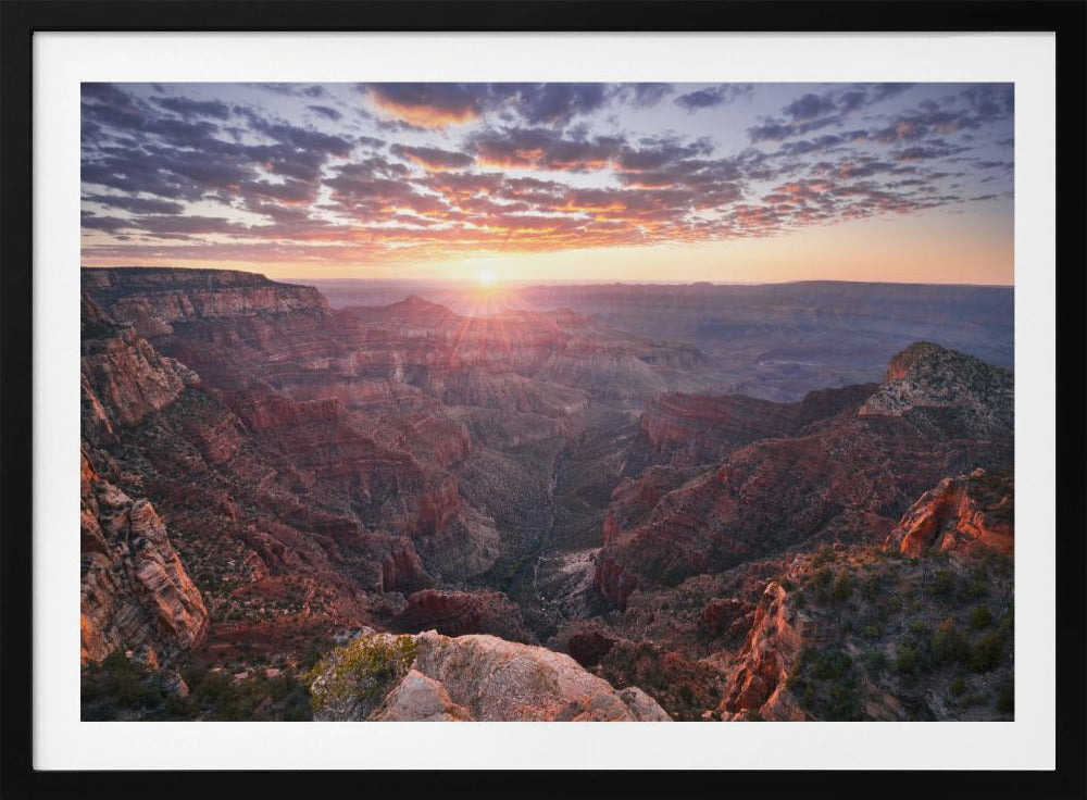 Uitzicht op de Grand Canyon | Poster
