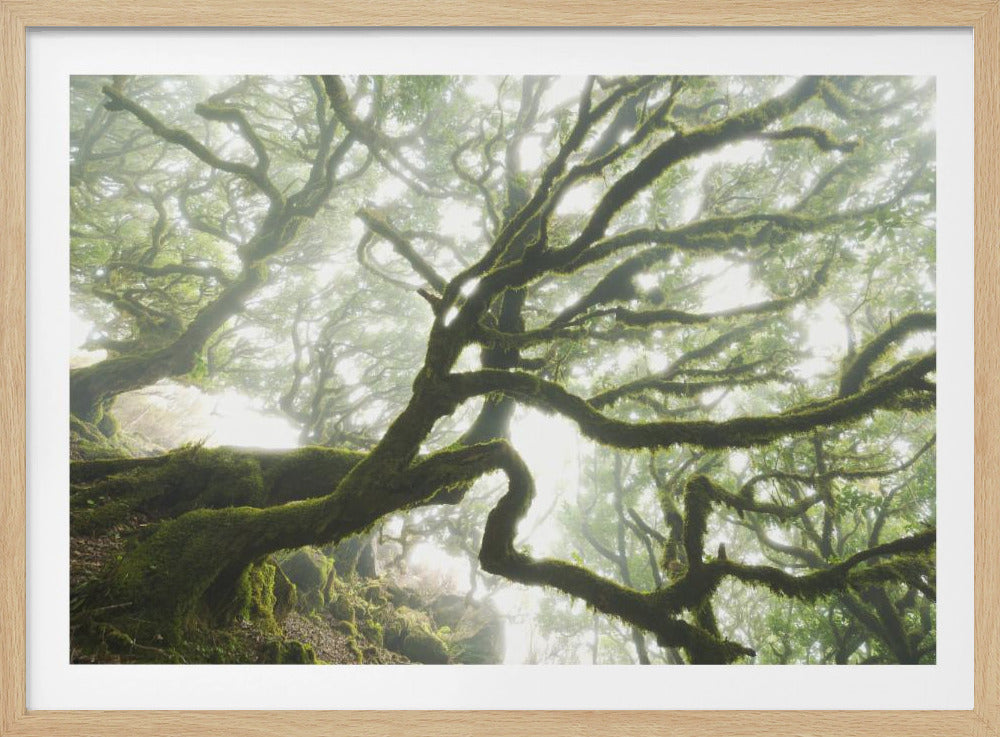 Magisch moment | Poster