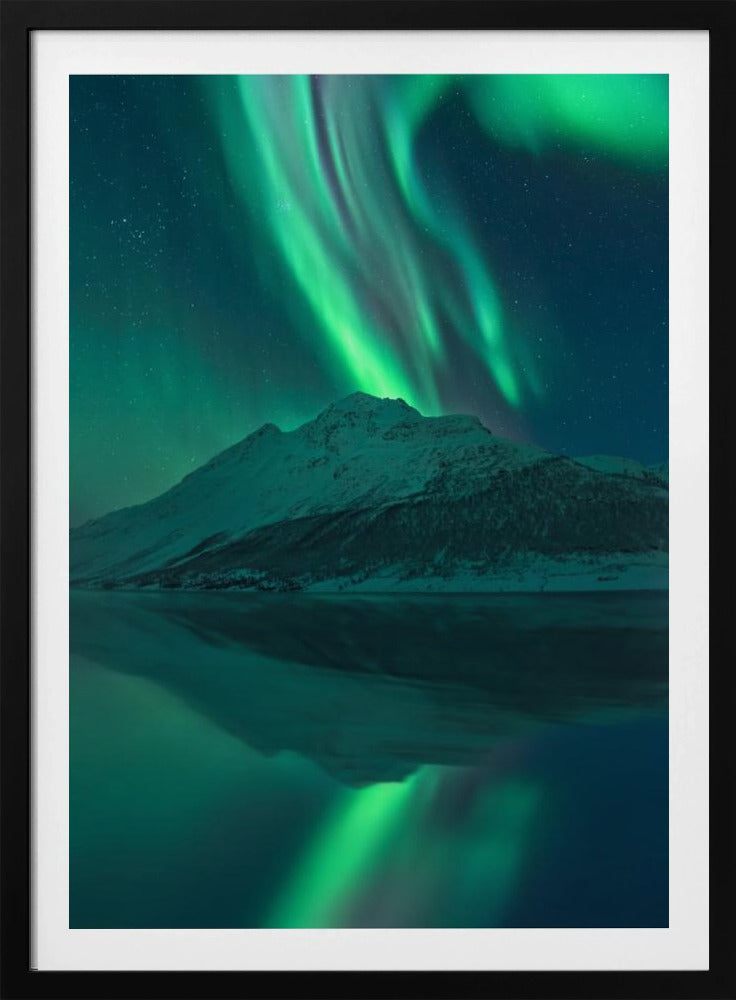 Reflecterende Fee | Poster