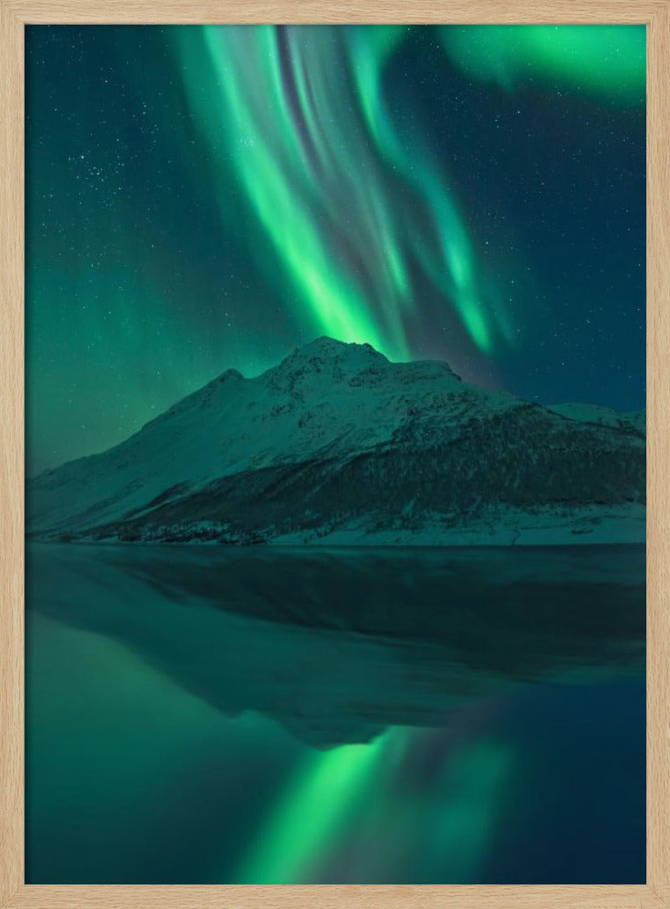 Reflecterende Fee | Poster