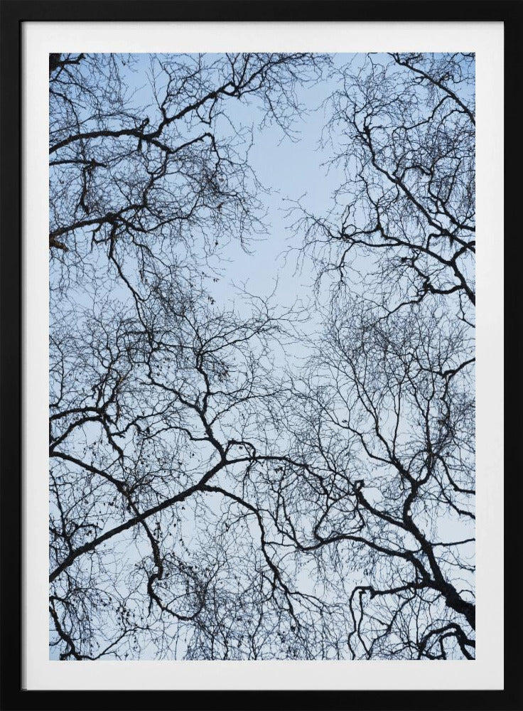 Abstracte boom | Poster
