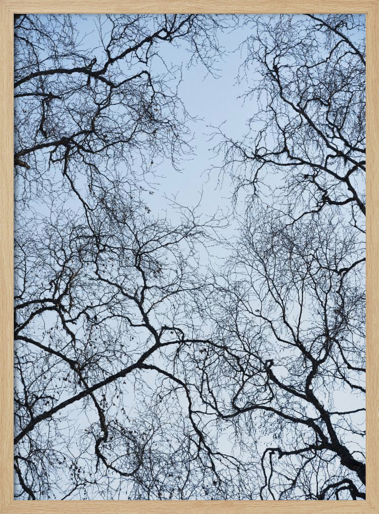 Abstracte boom | Poster
