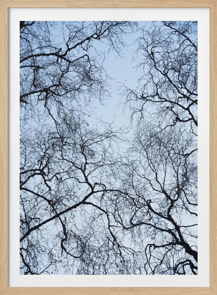 Abstracte boom | Poster