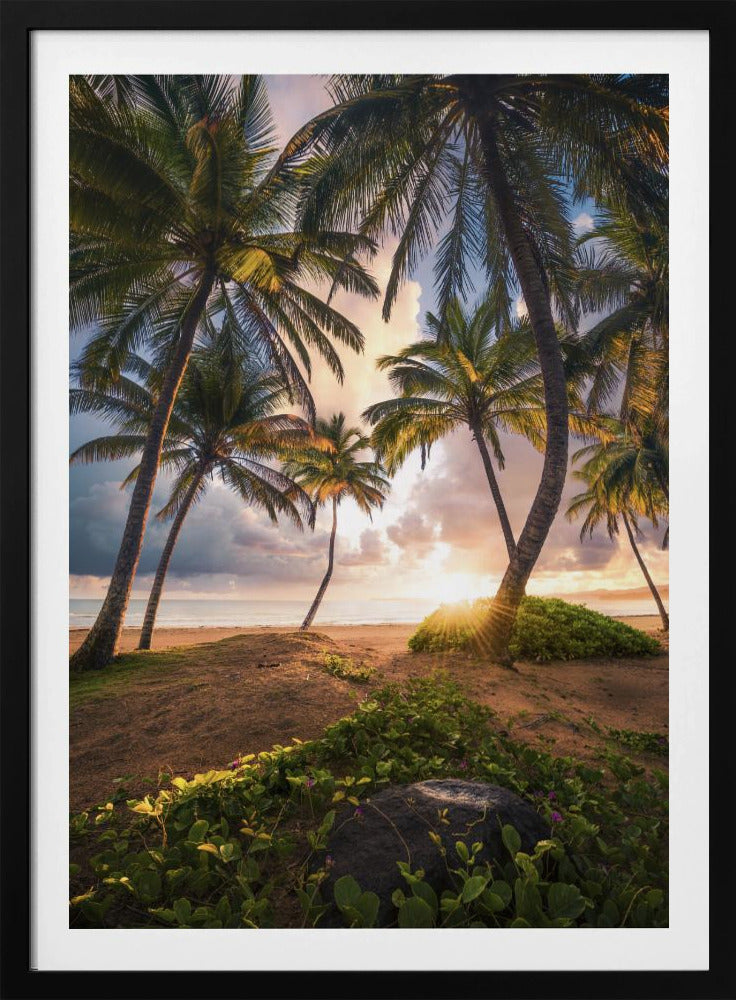 Verticaal Paradijs | Poster