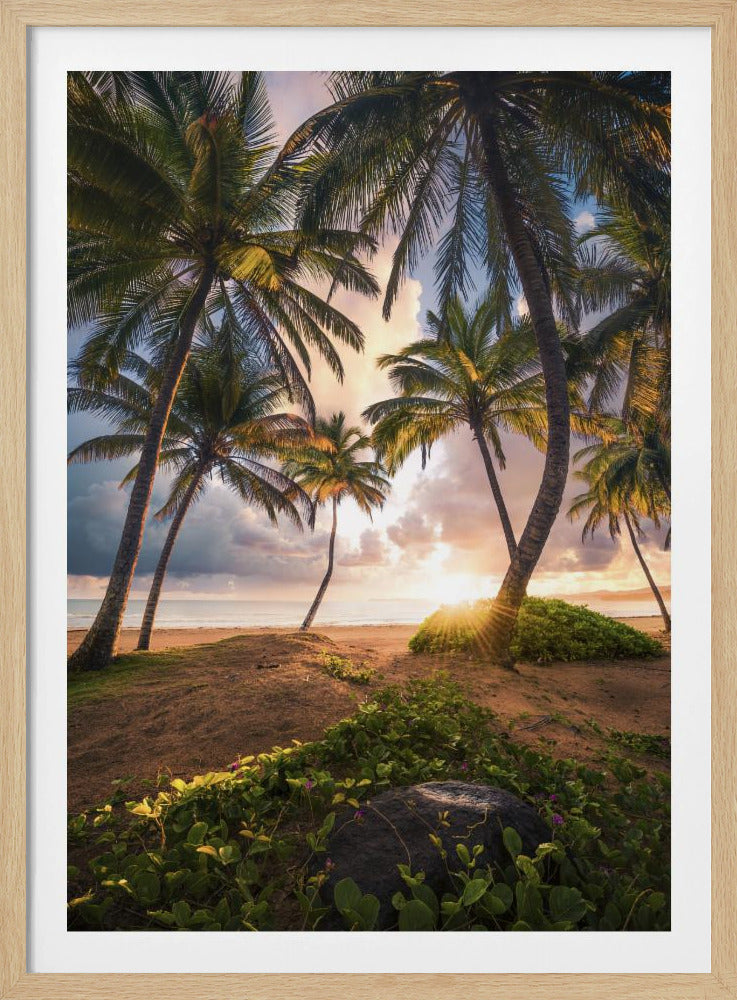 Verticaal Paradijs | Poster