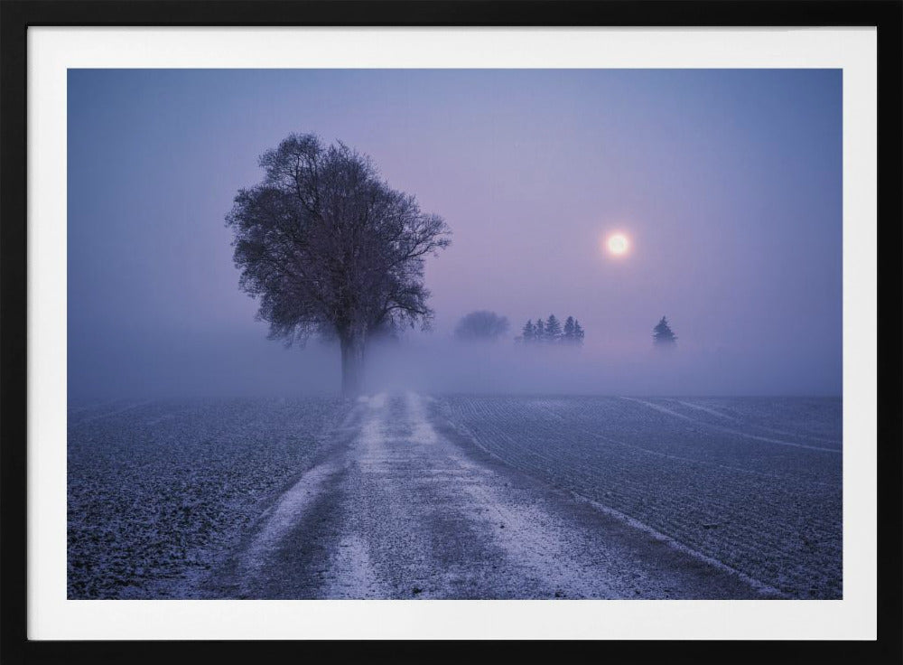 Maanverlichte pad | Poster