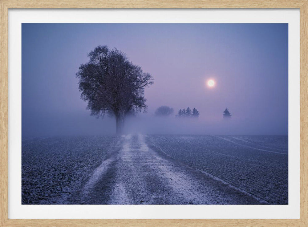 Maanverlichte pad | Poster