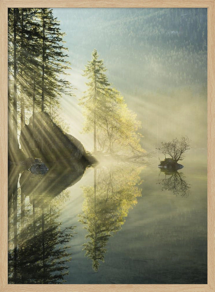 God Rays verticaal | Poster