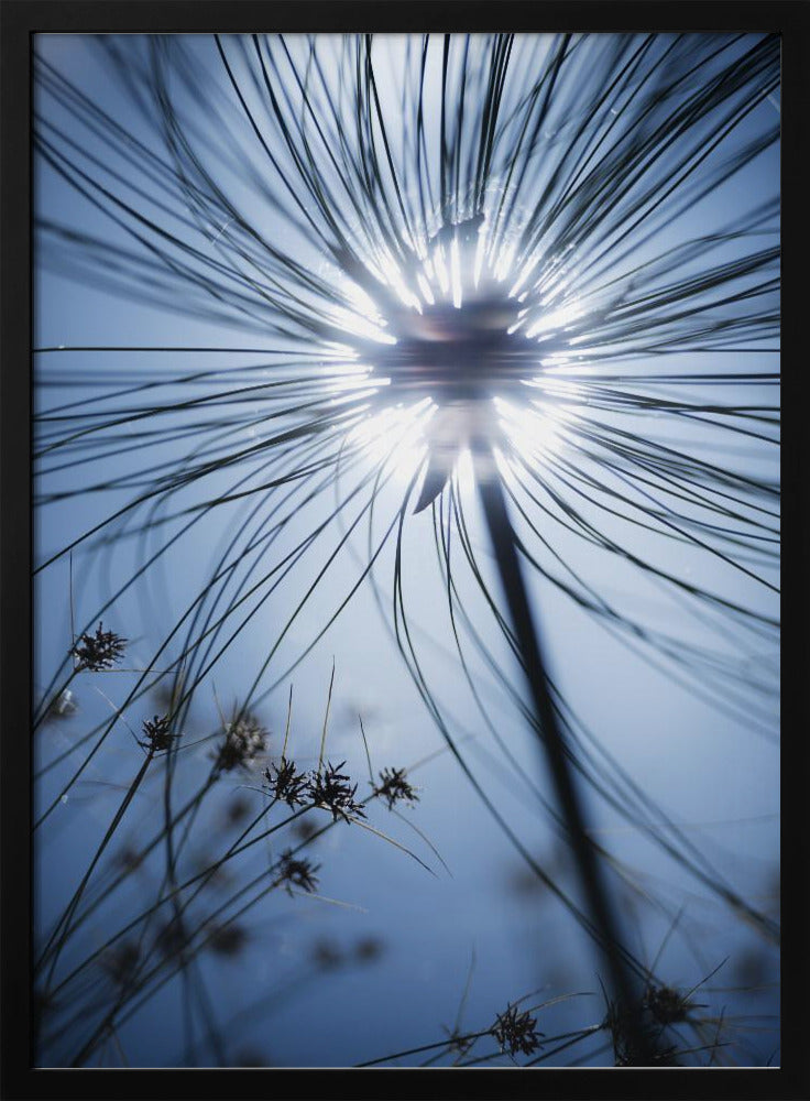 Botanisch Blauw | Poster