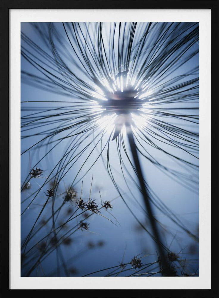 Botanisch Blauw | Poster