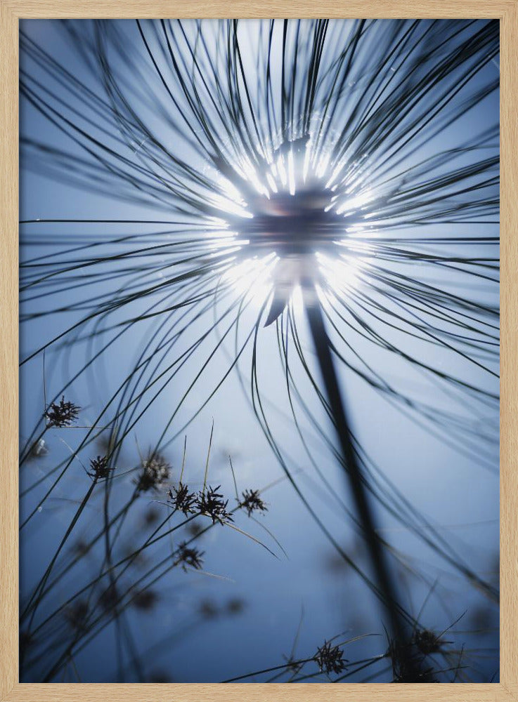 Botanisch Blauw | Poster