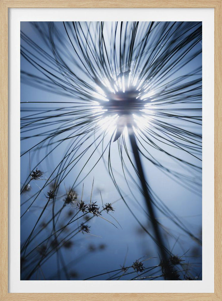 Botanisch Blauw | Poster