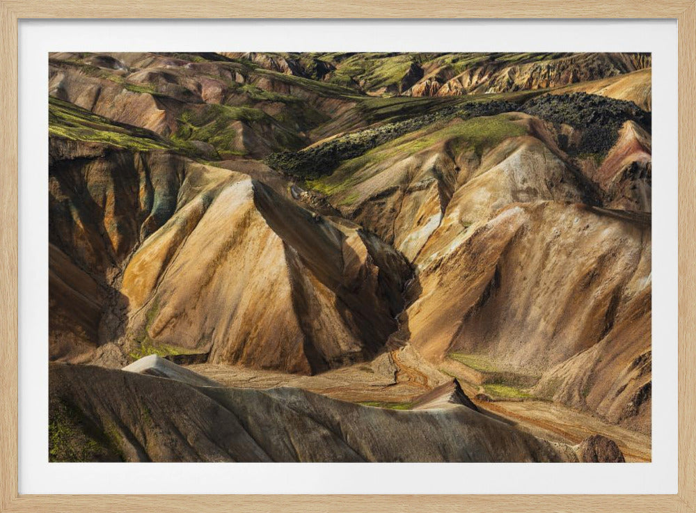 Kleurrijke aarde | Poster