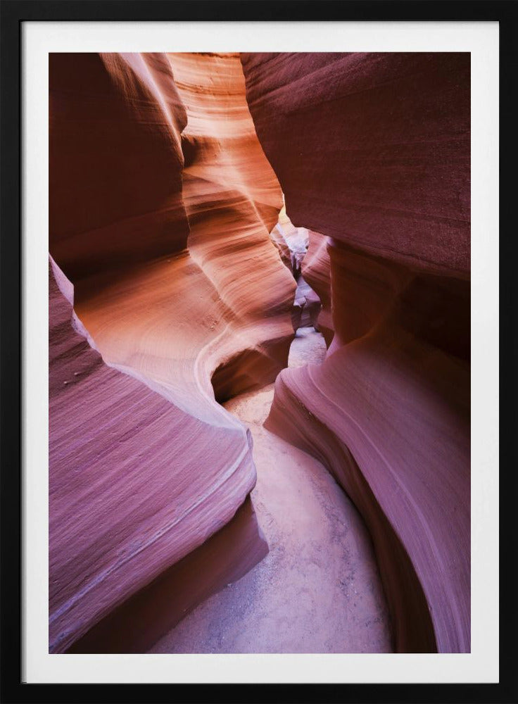 Paarse Canyon | Poster