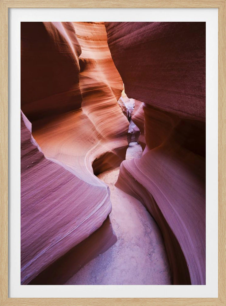 Paarse Canyon | Poster
