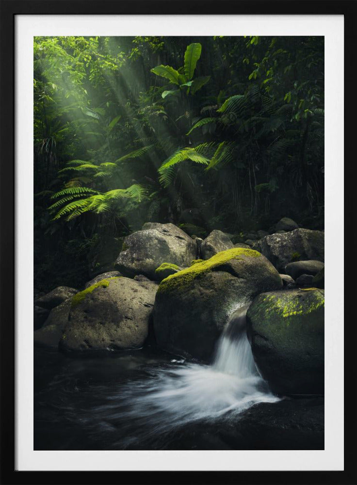 Mystieke jungle | Poster